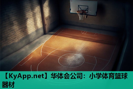 华体会公司：小学体育篮球器材