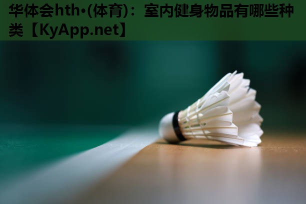 华体会hth·(体育)：室内健身物品有哪些种类