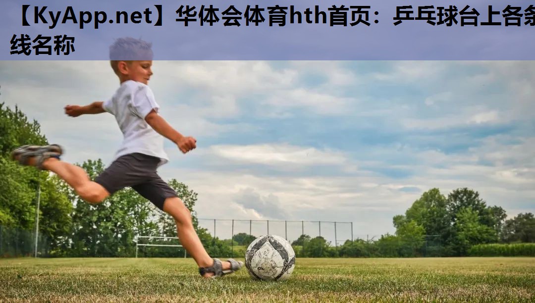 华体会体育hth首页：乒乓球台上各条线名称