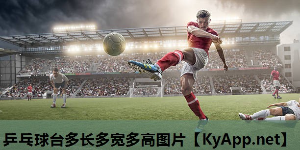 乒乓球台多长多宽多高图片