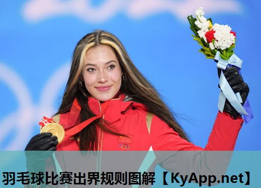 羽毛球比赛出界规则图解