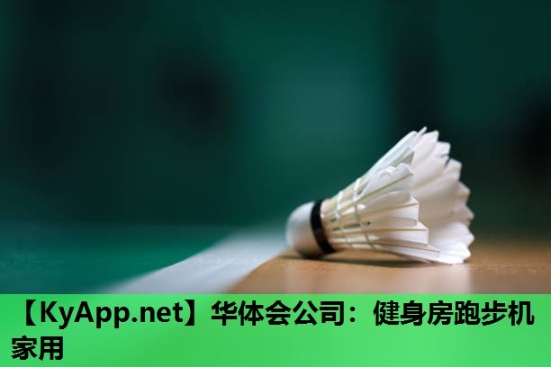 华体会公司：健身房跑步机家用
