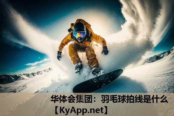 华体会集团：羽毛球拍线是什么