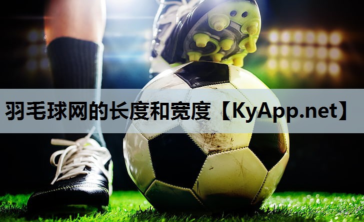 羽毛球网的长度和宽度