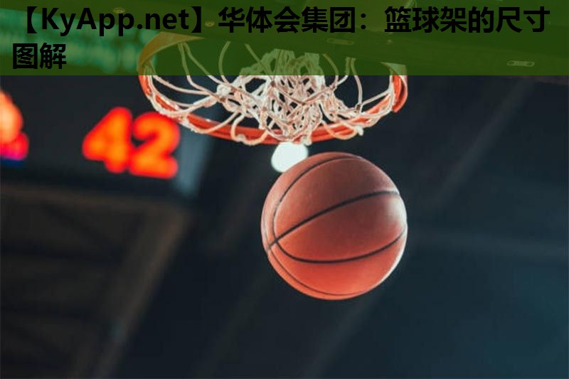 华体会集团：篮球架的尺寸图解