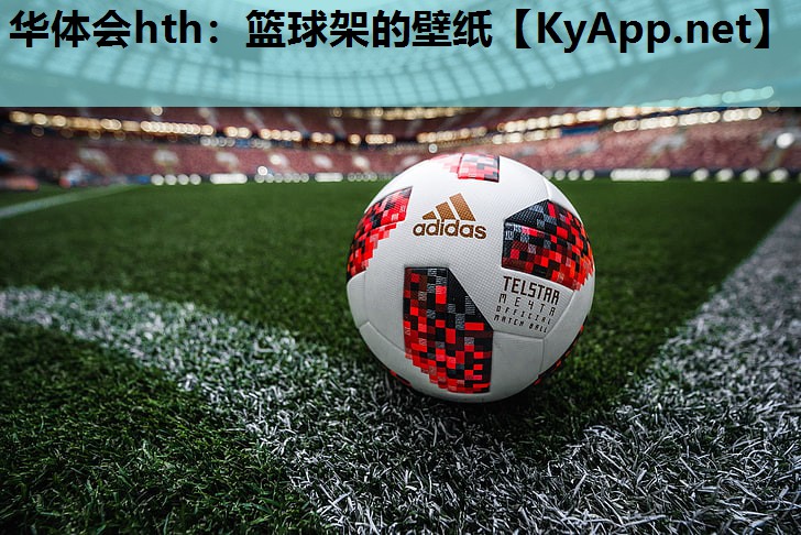 华体会hth：篮球架的壁纸