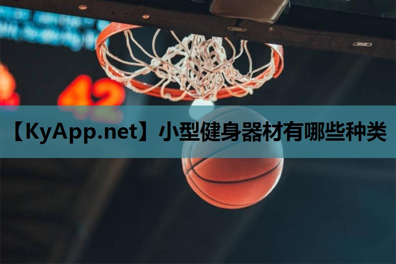 小型健身器材有哪些种类 小型健身器材有哪些种类