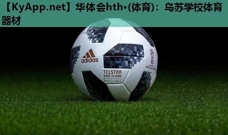 乌苏学校体育器材 乌苏学校体育器材