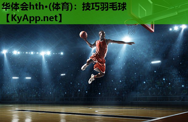 技巧羽毛球 技巧羽毛球