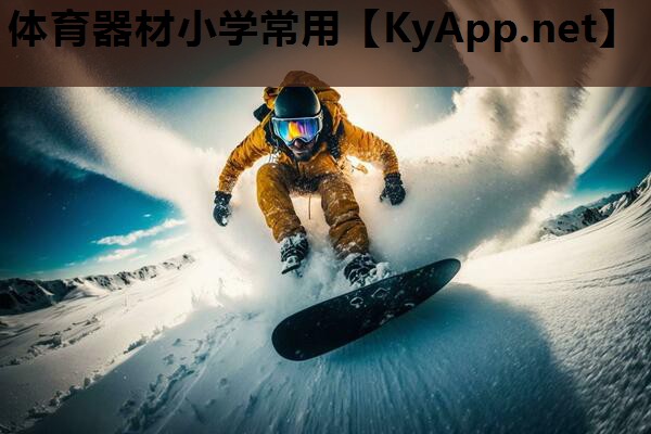 体育器材小学常用 体育器材小学常用