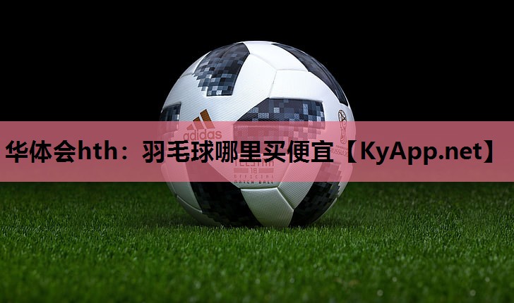 羽毛球哪里买便宜 羽毛球哪里买便宜