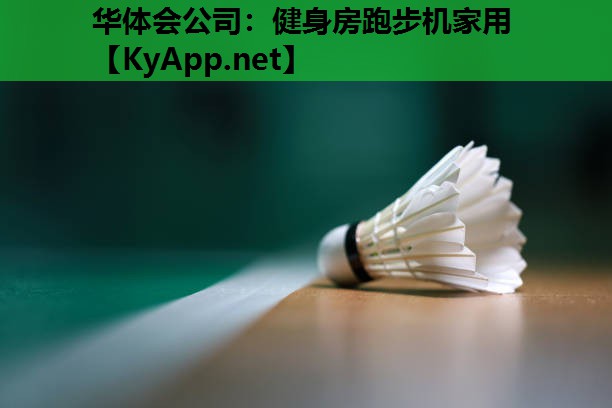 健身房跑步机家用 健身房跑步机家用