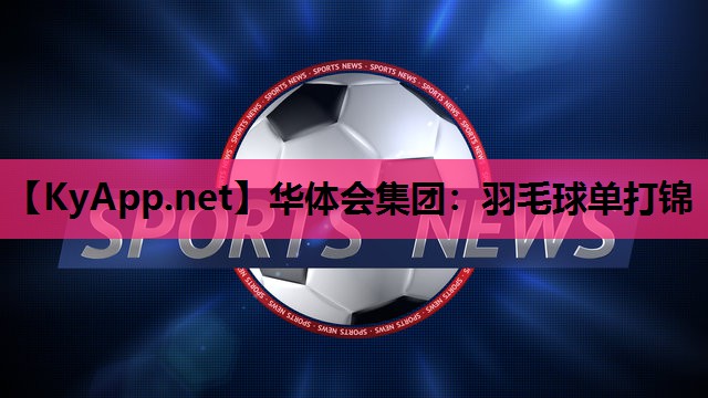 羽毛球单打锦 羽毛球单打锦